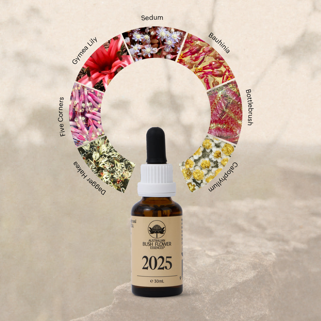 2025 Drops 30ml