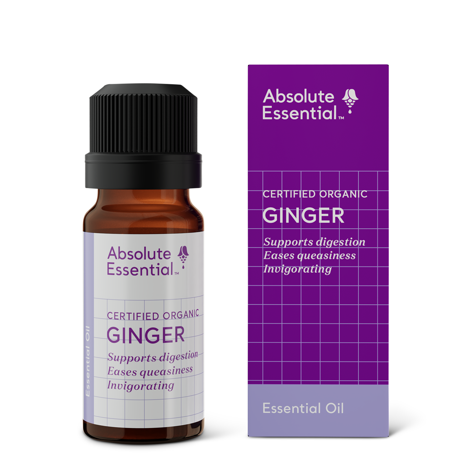 Ginger Essential Oil 10ml